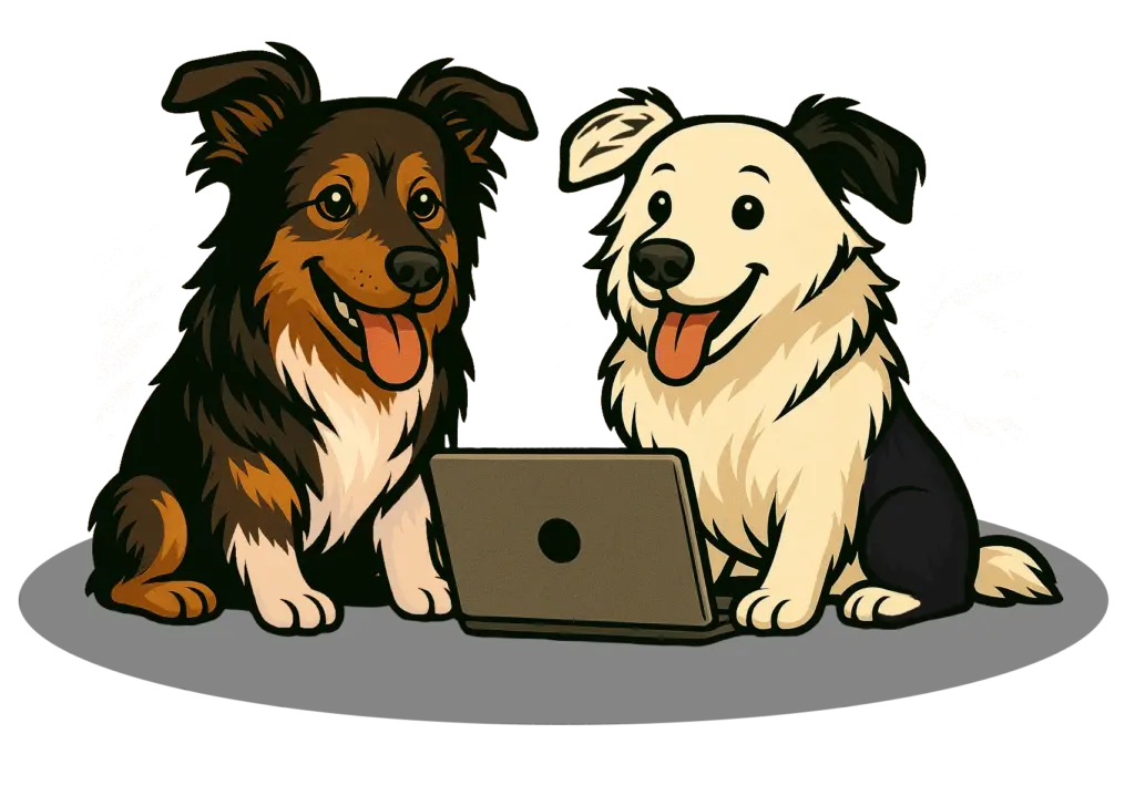 Website Angebot